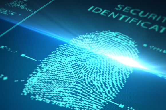 Scanned Fingerprint For Identity Security
