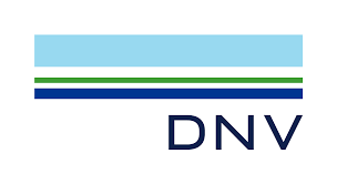 dnv icon